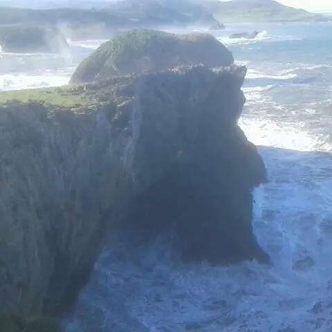 Carolina Apartamento *